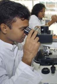 India to Triple Expenditure on Science and Technology Research